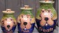 dog treat jars ceramic stoneware handmade pottery