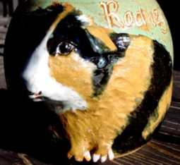 guinea pig pet urn